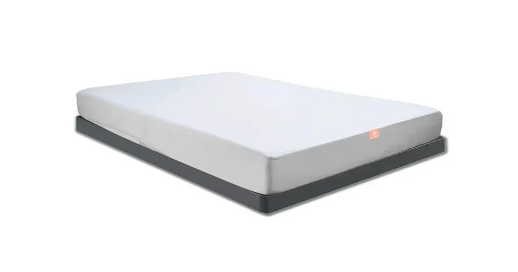 Total Encasement Mattress Protector