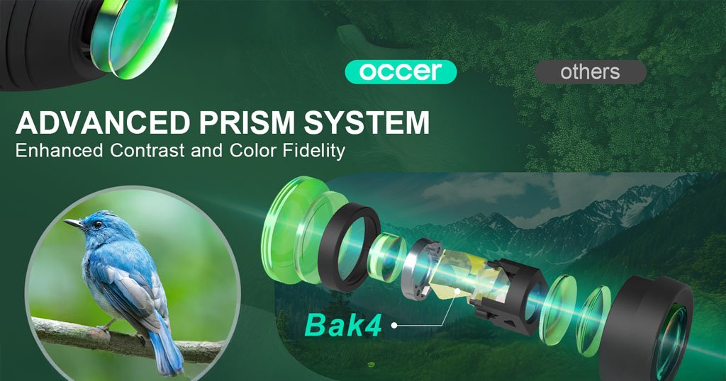 Travel-size binoculars