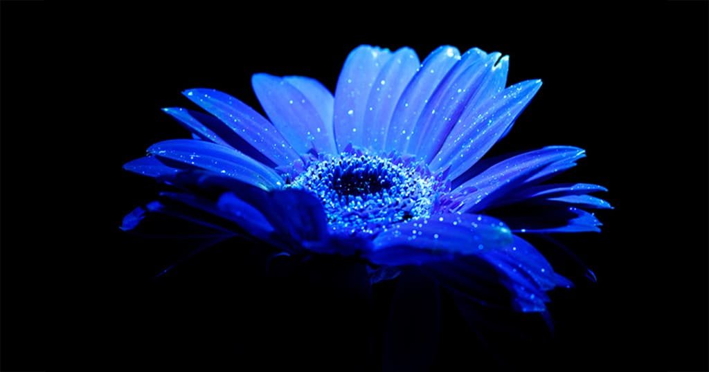 UV flashlight for travel