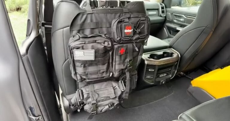 Car back seat organizer