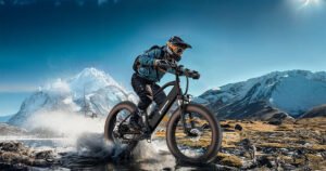 Electric Bike for adults