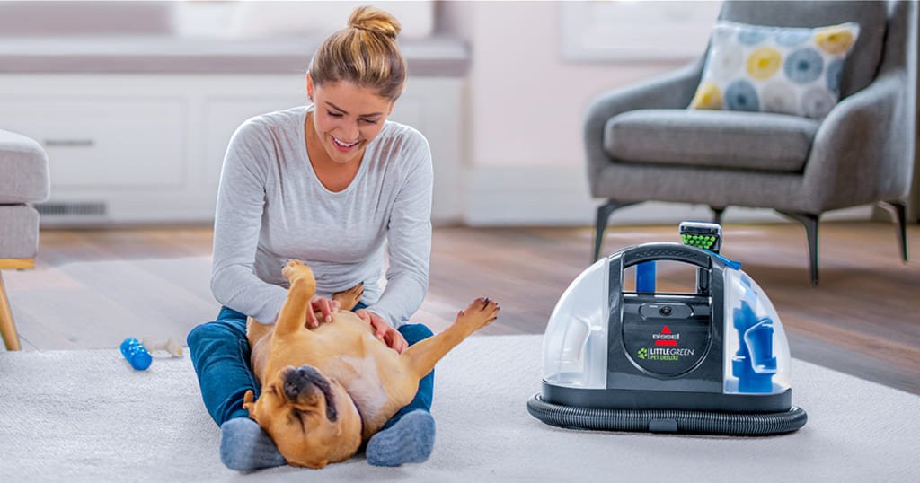 How to clean with Little Green Pet Deluxe