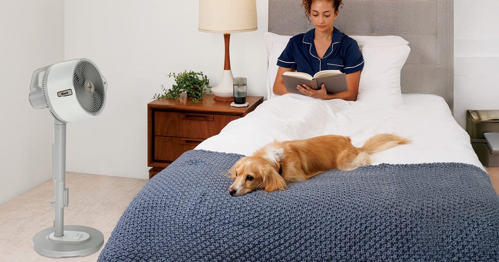 Mist fan for camping and home