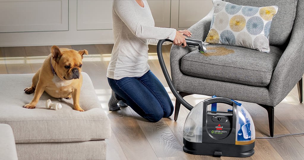 Portable cleaner for pet accidents