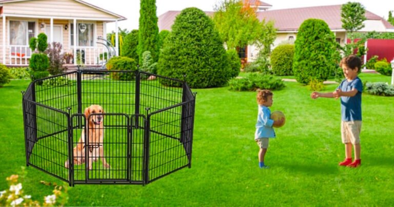 Dog Fence Outdoor for Yard