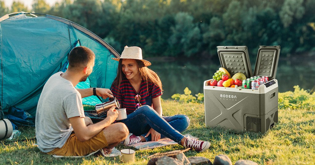 Car cooler with freezer