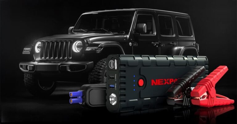 Road trip essentials for car