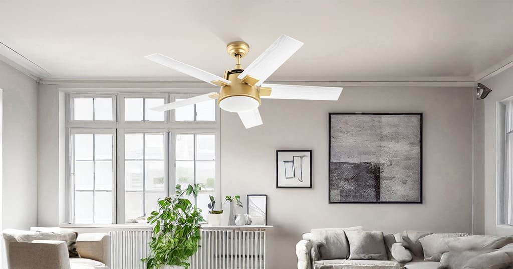 Ceiling fan with light and remote