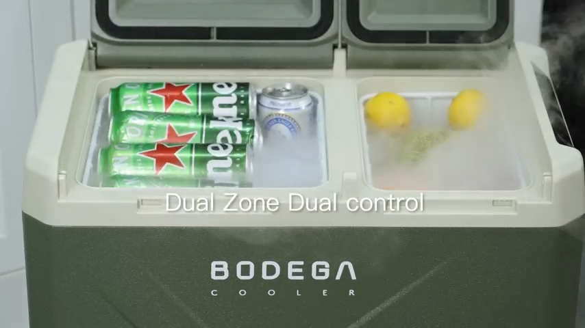 Dual zone portable fridge