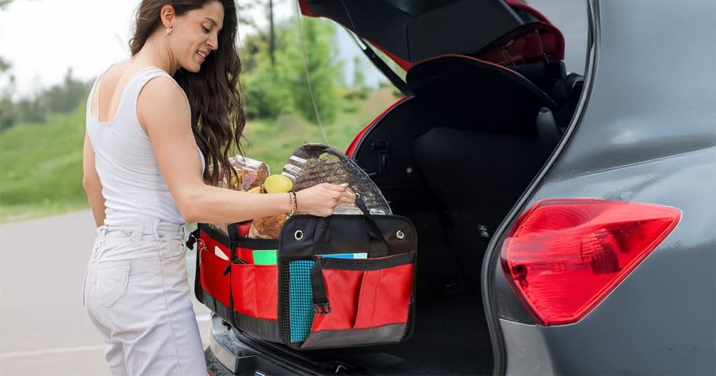 Foldable trunk organizer with compartments