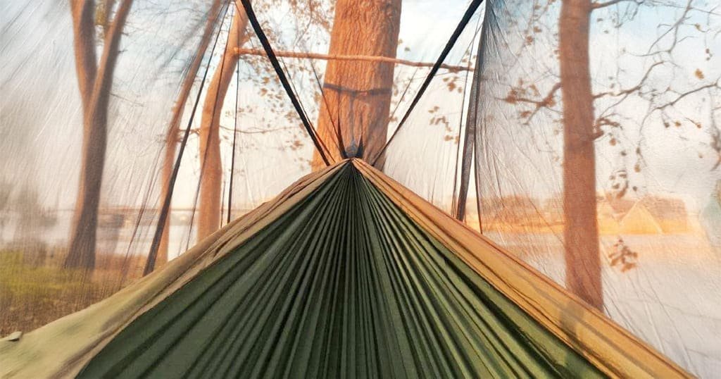 Hammock with bug net