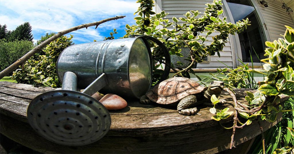 Manual focus lens for Canon DSLR