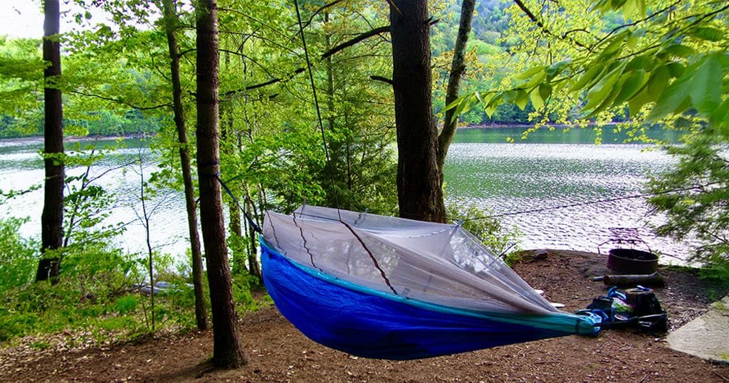 Portable hammock with net
