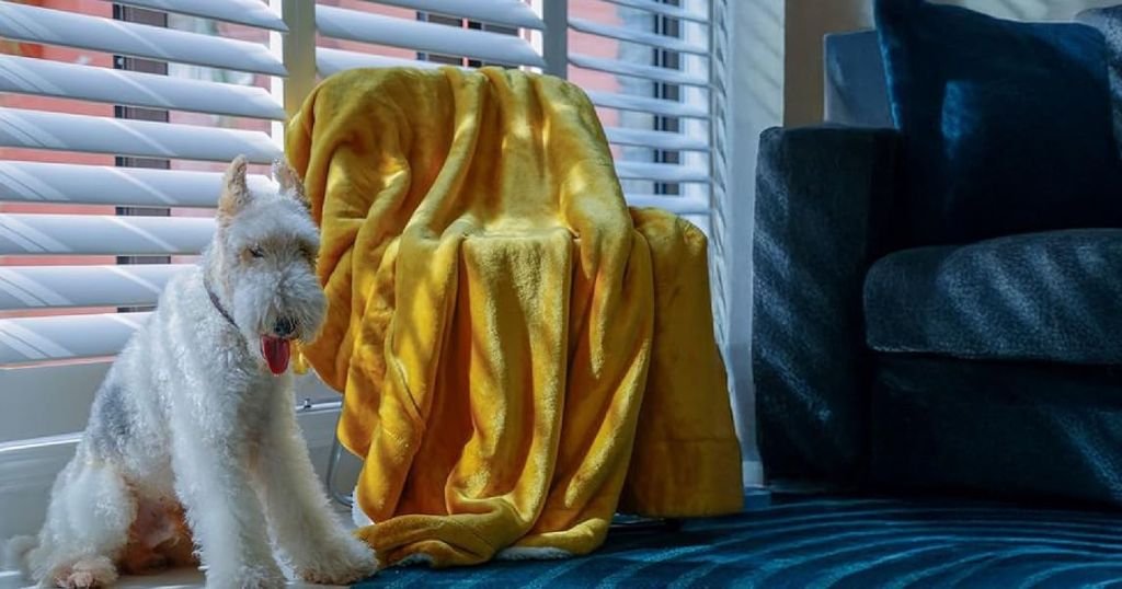 bedroom throw blanket