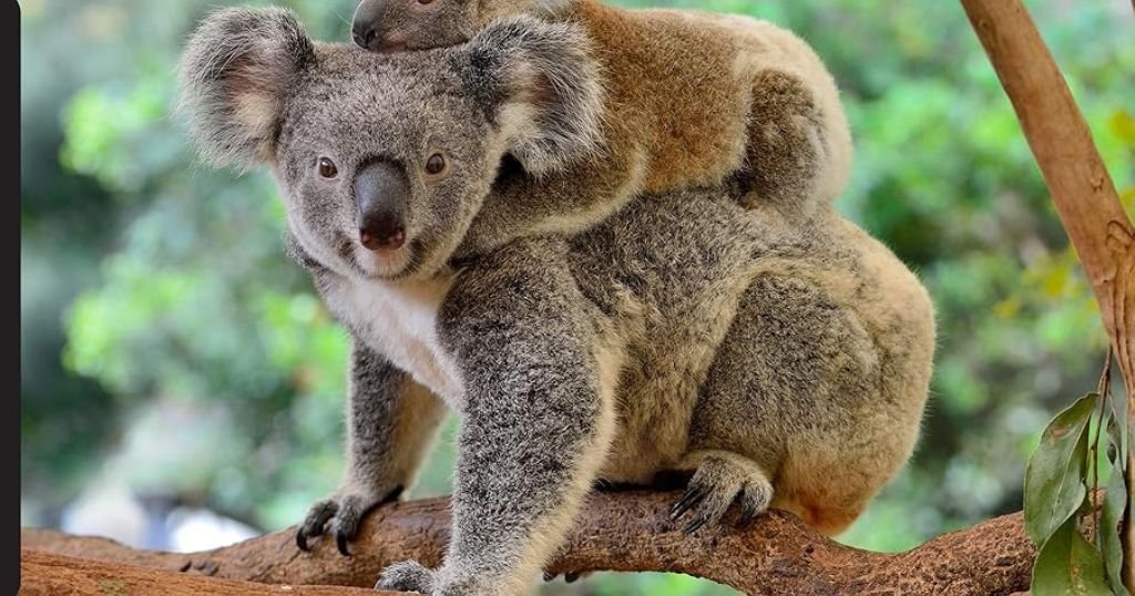 best family games for kids and adults