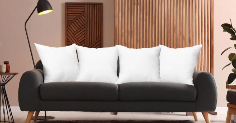 Throw Pillows for Couch